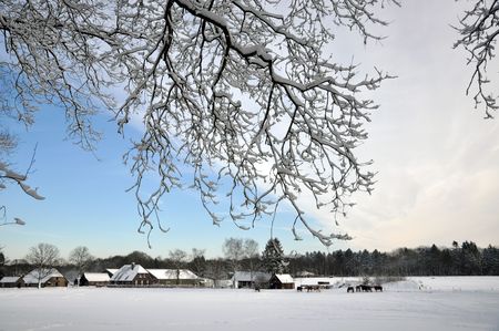 Winter wonder land with blue sky and snow comingの写真素材