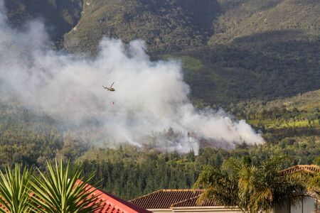 Start of forest fireの写真素材