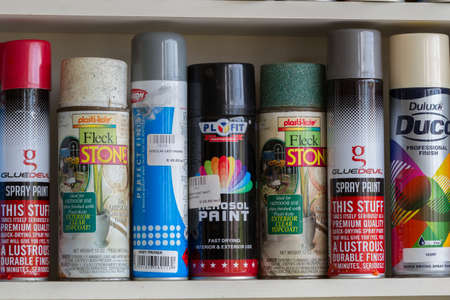 Items for home maintenance  in a suburban garage George South Africa