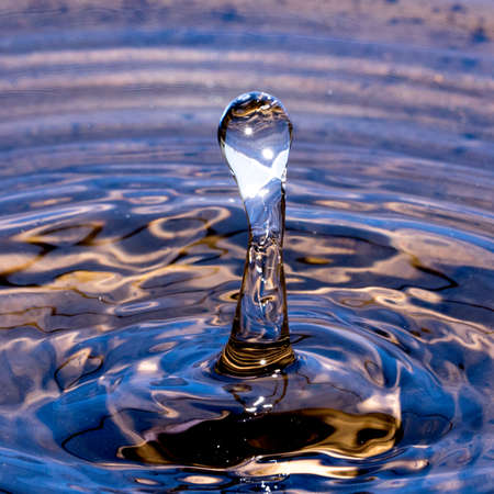 Water droplets form beuatiful and psychedelic patterns in water