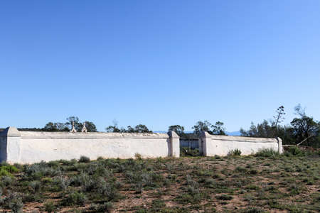 Lonely graveyard with whitewashed walls in deep rural South Africa, Little Karoo.のeditorial素材