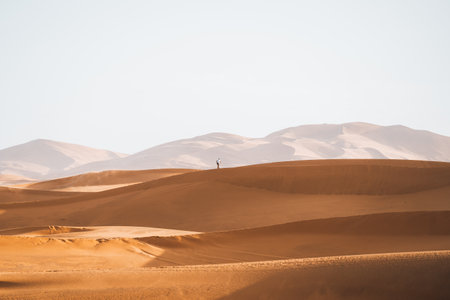 Lonely walker in Sahara Desert Merzouga Person Moroccoの写真素材