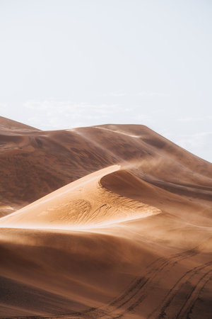 Sand texture in Morocco Sahara Merzouga Desert portrait orientedの写真素材