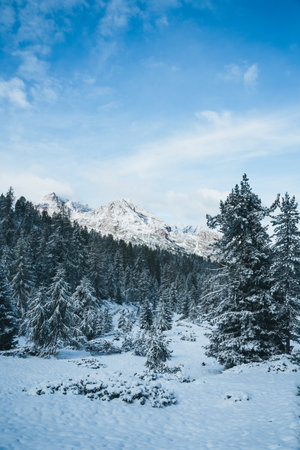 Panoramic View in the Dolomites South Tyrol Italy Tre Cime di Lavaredoの写真素材