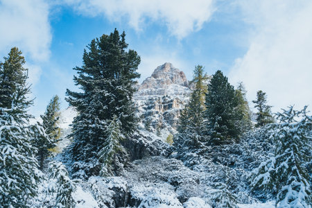 Panoramic View in the Dolomites South Tyrol Italy Tre Cime di Lavaredoの写真素材