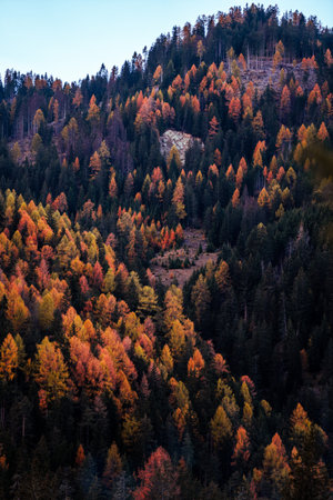 Autumn colours of Lake Toblacher See, Lago di Dobbiaco in Dolomites Italyの写真素材