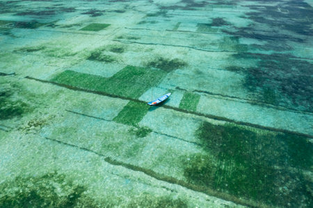 Aerial Drone Photo of Seaweed Farms in Nusa Lembongan Ceningan Bali Indonesiaの写真素材