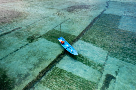 Aerial Drone Photo of Seaweed Farms in Nusa Lembongan Ceningan Bali Indonesiaの写真素材