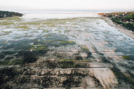 Aerial Drone Photo of Seaweed Farms in Nusa Lembongan Ceningan Bali Indonesiaの写真素材