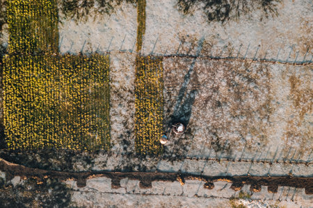Aerial Drone Photo of Seaweed Farms in Nusa Lembongan Ceningan Bali Indonesiaの写真素材
