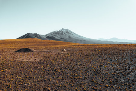 Car in front of Volcanic mountains in San Pedro de Atacama Chileの写真素材