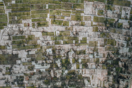 Aerial Drone Photo of Seaweed Farms in Nusa Lembongan Ceningan Bali Indonesiaの写真素材