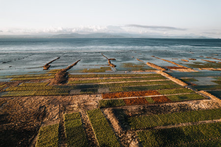 Aerial Drone Photo of Seaweed Farms in Nusa Lembongan Ceningan Bali Indonesiaの写真素材