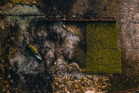 Aerial Drone Photo of Seaweed Farms in Nusa Lembongan Ceningan Bali Indonesiaの写真素材