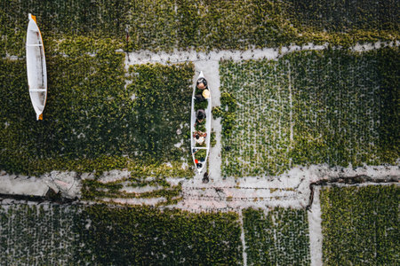 Aerial Drone Photo of Seaweed Farms in Nusa Lembongan Ceningan Bali Indonesiaの写真素材