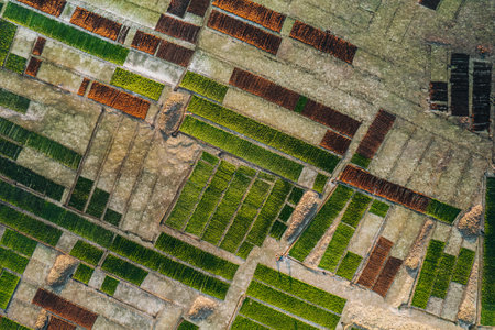 Aerial Drone Photo of Seaweed Farms in Nusa Lembongan Ceningan Bali Indonesiaの写真素材