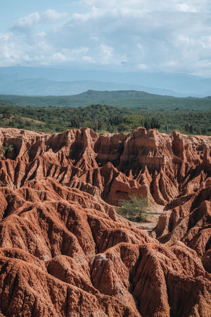 Extreme climate and cactuses in Tatacoa Red Desert Colombia Villaviejaの写真素材