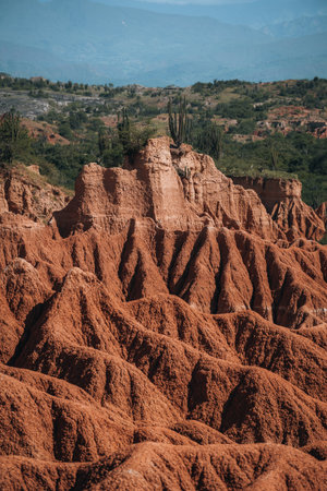 Extreme climate and cactuses in Tatacoa Red Desert Colombia Villaviejaの写真素材