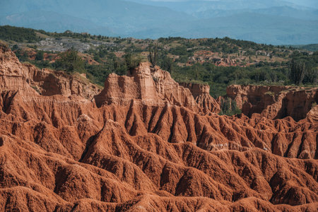 Extreme climate and cactuses in Tatacoa Red Desert Colombia Villaviejaの写真素材
