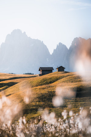 Mountain cabin in stunning landscape of Alpe di Siusi during sunrise, Dolomitesの写真素材