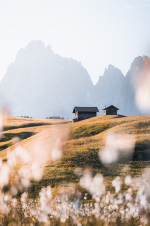 Mountain cabin in stunning landscape of Alpe di Siusi during sunrise, Dolomitesの写真素材