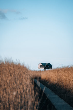 Beautiful photo of Kiekkaaste Bird Observatory in The Netherlands at Wadden Seaの写真素材