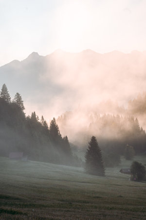 Amazing foggy Sunrise at Geroldsee, also Wagenbruchsee, Bavaria, Germany Europeの写真素材