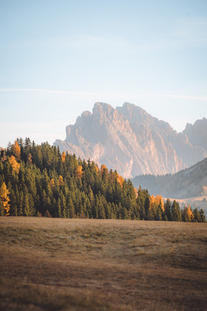 Autumn landscape at Alpe di Siusi sunrise in The Dolomites South Tyrol Italyの写真素材