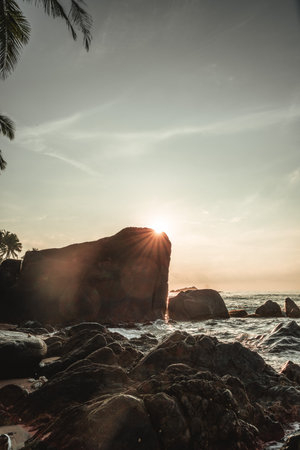 Tropical sunrise in Unawatuna, Mirissa, Sri Lanka, beach, palm trees and oceanの写真素材