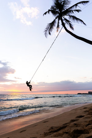 Palm tree swing above ocean at Dalawella Beach, Unawatuna, Sri Lanka,の写真素材