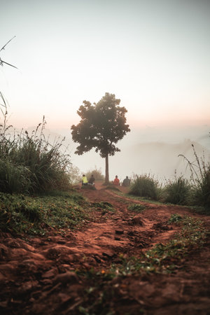 Little Adams Peak landscape during a stunning sunrise in Ella, Sri Lankaの写真素材