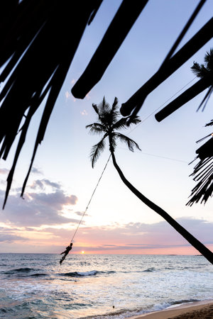 Palm tree swing above ocean at Dalawella Beach, Unawatuna, Sri Lanka,の写真素材