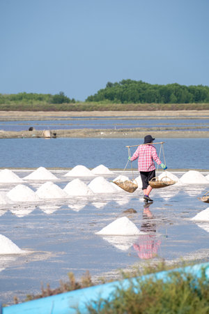 Local people working on the salt flats in Phetchaburi, Thailand, Asiaの写真素材