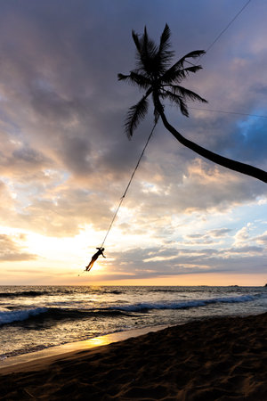 Palm tree swing above ocean at Dalawella Beach, Unawatuna, Sri Lanka,の写真素材