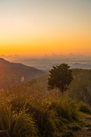 Little Adams Peak landscape during a stunning sunrise in Ella, Sri Lanka