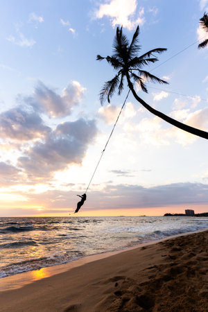 Palm tree swing above ocean at Dalawella Beach, Unawatuna, Sri Lanka,の素材 [FY310211796815]