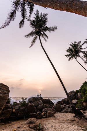 sunset with palm trees and silhouette of a couple on Sri Lanka beachの写真素材