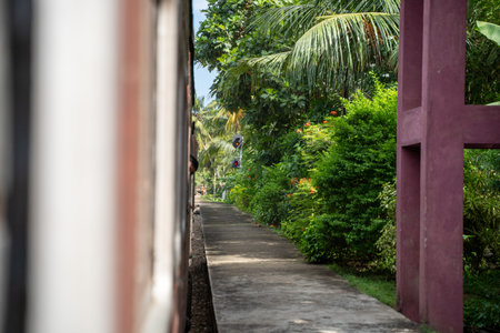 Famous train journey in Sri Lanka between Ella and Kandy and other spotsの写真素材