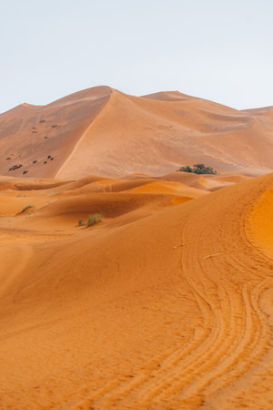Sand texture in Morocco Sahara Merzouga Desert after a rainy dayの写真素材