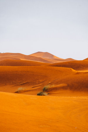 Sand texture in Morocco Sahara Merzouga Desert after a rainy dayの写真素材