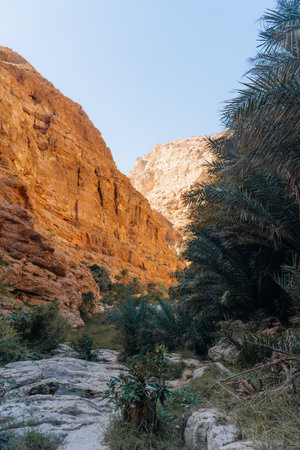 Wadi Shab, Canyon, valley, oasis with blue waters to swim close to Muscat Omanの写真素材