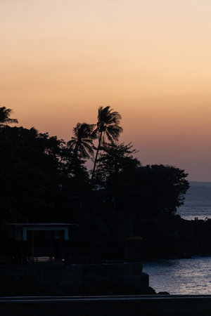 Sunset view of palm trees in Kupang, East Nusa Tenggara, Indonesia