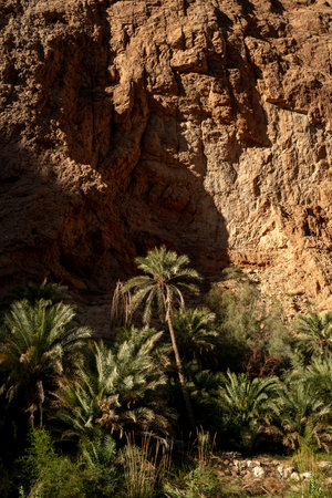 Wadi Shab, Canyon, valley, oasis with blue waters to swim close to Muscat Omanの写真素材