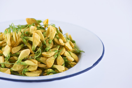 Yellow flower Sesbania isolated on tile dish with a white background.の写真素材