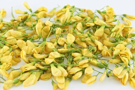 Yellow flower Sesbania  isolated on white. A side dish for chili sauce of Thai food.の写真素材