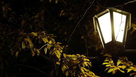 Lamp on the street in Riga, Latvia の写真素材