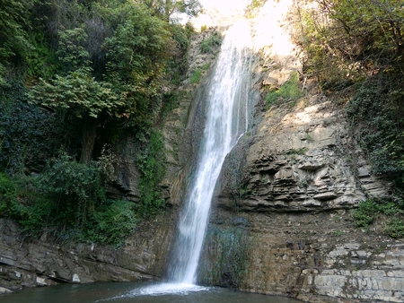 Botanic Garden in Tbilisiの写真素材