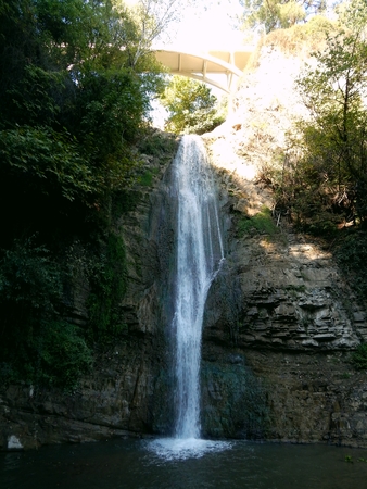 Botanic Garden in Tbilisiの写真素材