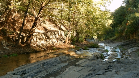 Botanic Garden in Tbilisiの写真素材