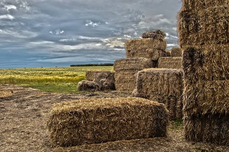 Artistic image of straw bales on farmland